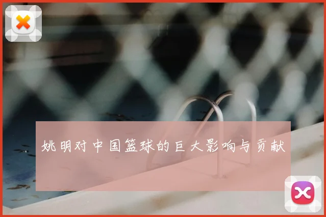 姚明对中国篮球的巨大影响与贡献