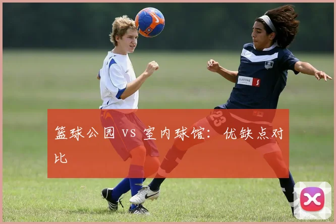 篮球公园 vs 室内球馆:优缺点对比